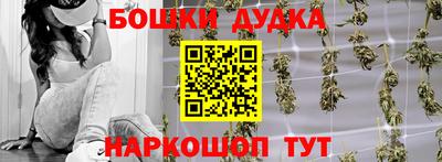 гидра Краснознаменск