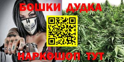 PSILOCYBIN Краснодар