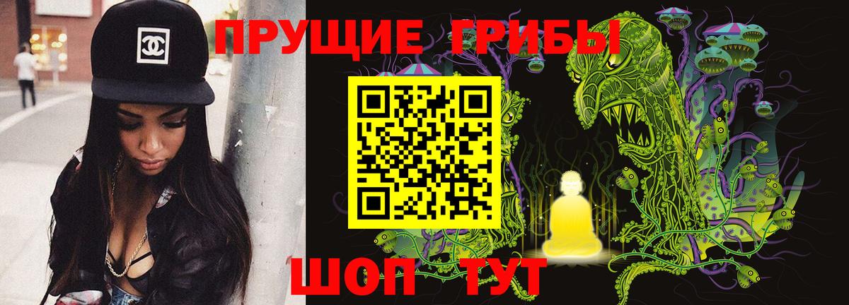 Изобильный  Галлюциногенные грибы Psilocybine cubensis  Вход с VPN 
